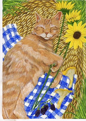 Leeroy's Summer Nap by Sarah Trott (2025)