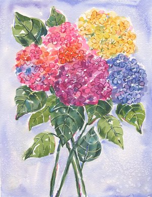 Hydrangea by Jenny Faw (2026)