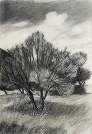 Markos Kampanis — portfolio