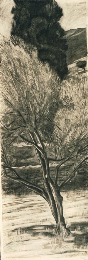 2Markos_Kampanis_Olive tree with cypress by Markos Kampanis