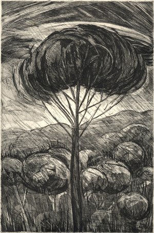 3Markos_Kampanis_Tree under rain in Tuscany by Markos Kampanis