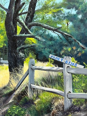 Kalo Katharine Maloney — portfolio