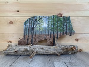 Summer Kerr — portfolio