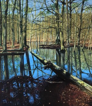 4Teun_Ploeg_SilentReflections by Teunis Ploeg