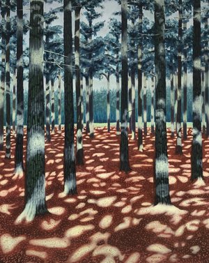 5Teun_Ploeg_EnlightenedTrees by Teunis Ploeg (2025)