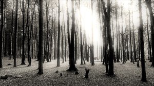 Stepping into The Light #2 by Jack Thompson