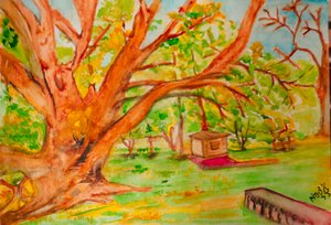 NAGESH H Rao — portfolio