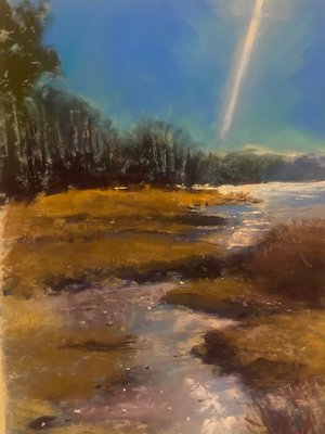 Marshland Radiance by Judith Tryon