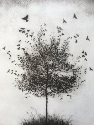 Tricia Newell