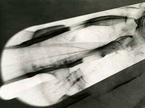Jeremy Maline