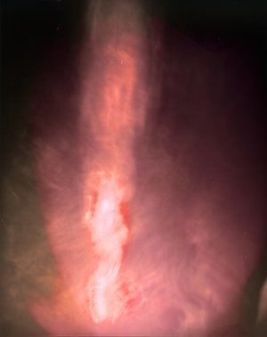 Sacred Flame by Jeremy Maline