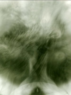 Tree of Life by Jeremy Maline