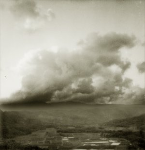 Hanalei Wildlife Reserve by Jeremy Maline