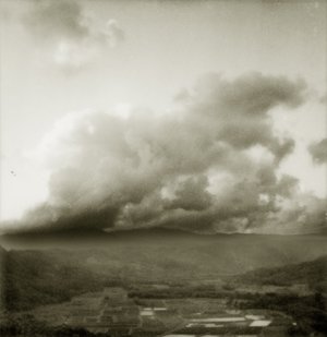 Hanalei Wildlife Reserve by Jeremy Maline