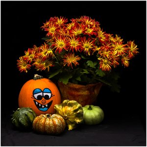 Goofy Pumpkin by Barry Heimlich