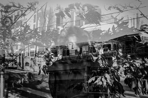 allison aubry — portfolio