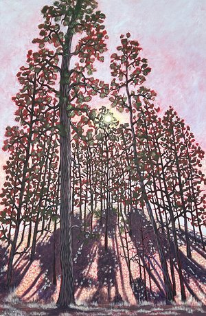 Uphill from Here web by Paula Manning-Lewis (2025)