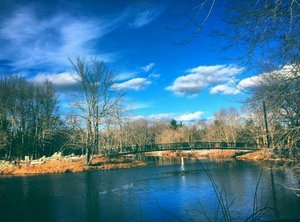 Day in the park  by Amanda Hall (2024)