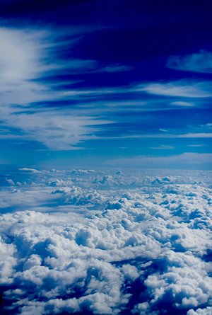 blue dreams by Amanda Hall