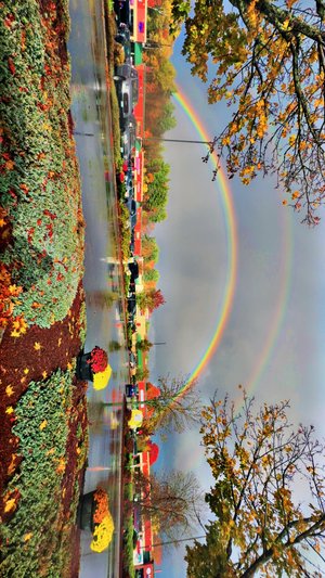 taste the rainbnow  by Amanda Hall (2025)