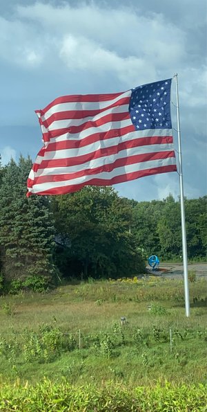 america by Amanda Hall