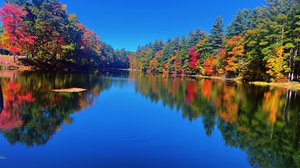 new hampshire fall by Amanda Hall