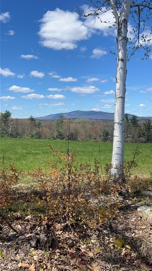 new hampshire mountaions by Amanda Hall