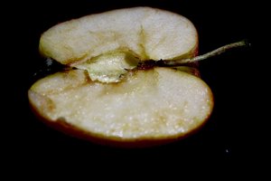 The Core Star  by Amanda Hall (2026)