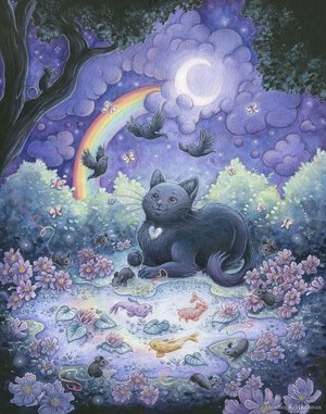 Meet Me At The Moonbow Bridge by Heather Hitchman (2015)
