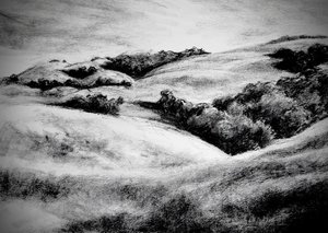 Slopes of Mt Diablo  by Alexandra Connor (2026)