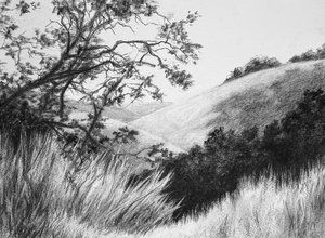 Mt Diablo Hillside by Alexandra Connor (2026)