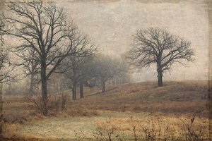 I Stand Alone by GC Sundra