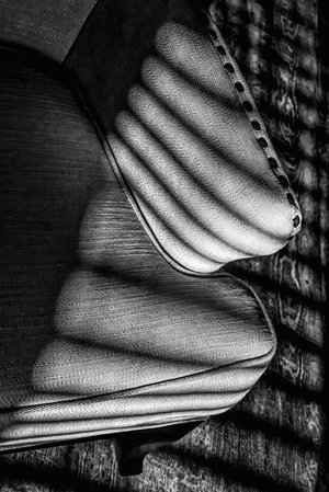 "Evening LInes1"  by Sammy Davis