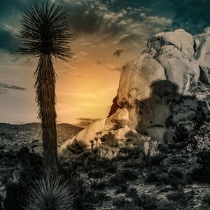 Test Desert Rock Stars II by Barbara Boissevain (2026)