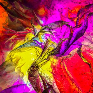 Chromatic Creature by Koula Pratsis