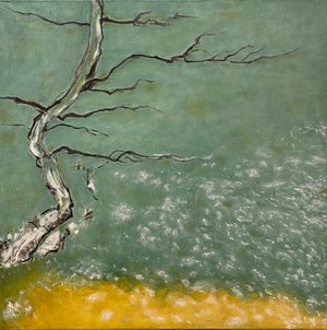 Leaning tree across the field by Luming Niu (2026)