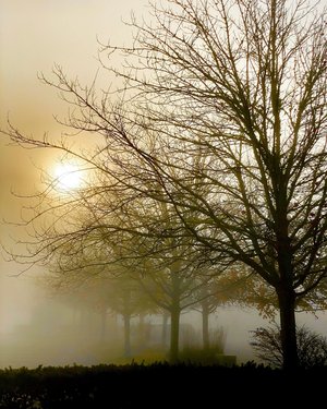 3Catherine_Rand_MorningMist by Catherine Rand