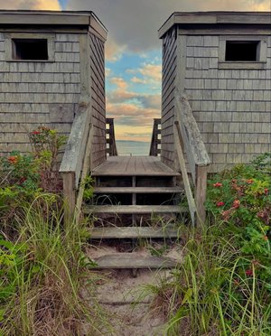 Path to Peace by Catherine Rand (2024)