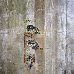 Triple by Ewelina Nowakowska (2015)