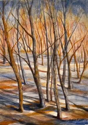 Winter forest  by Sylvia Ryder