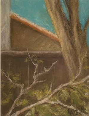 Back yard  by Sylvia Ryder
