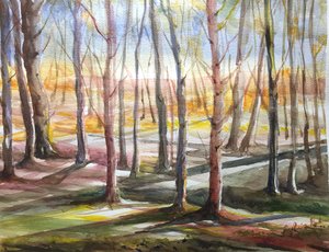 Sunny day in woods  by Sylvia Ryder