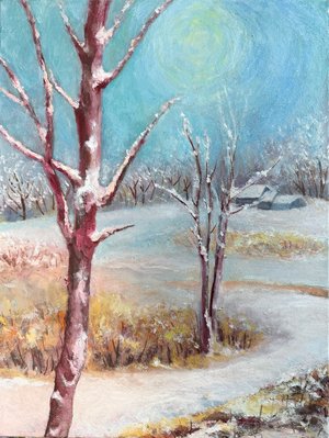 After snow storms  by Sylvia Ryder