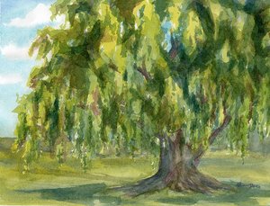 Under The Willow by Allison Cariyadil