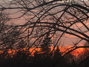 Sunset dreams by Marcie StoshakChavez (2023)