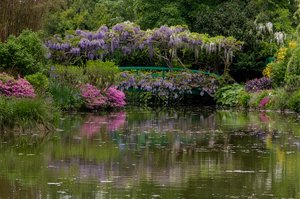 Monet's Pond in Giverny by Janice Solomon