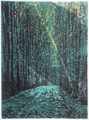 A Light Beyond These Woods by Gerry King (2025)