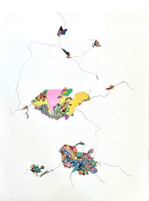 Nadya Haider — portfolio