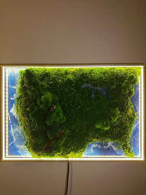 Moss Wall Art “USA Map” by Kirill Brunko (2026)