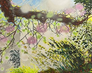 Sunlit by Devona Martin